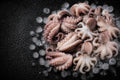 BABY OCTOPUS FROZEN (2LB)