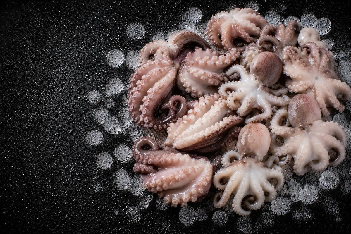 BABY OCTOPUS FROZEN (2LB)