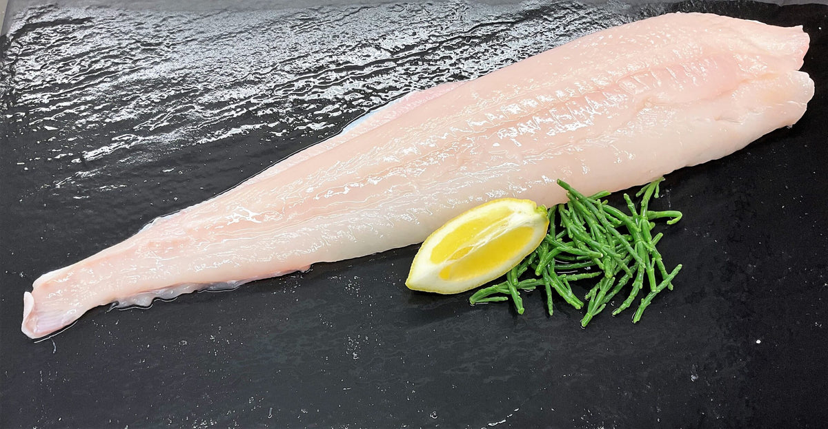 HALIBUT LOIN FROZEN (6-8oz)
