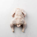 WHOLE CHICKEN (3.5-4LB)